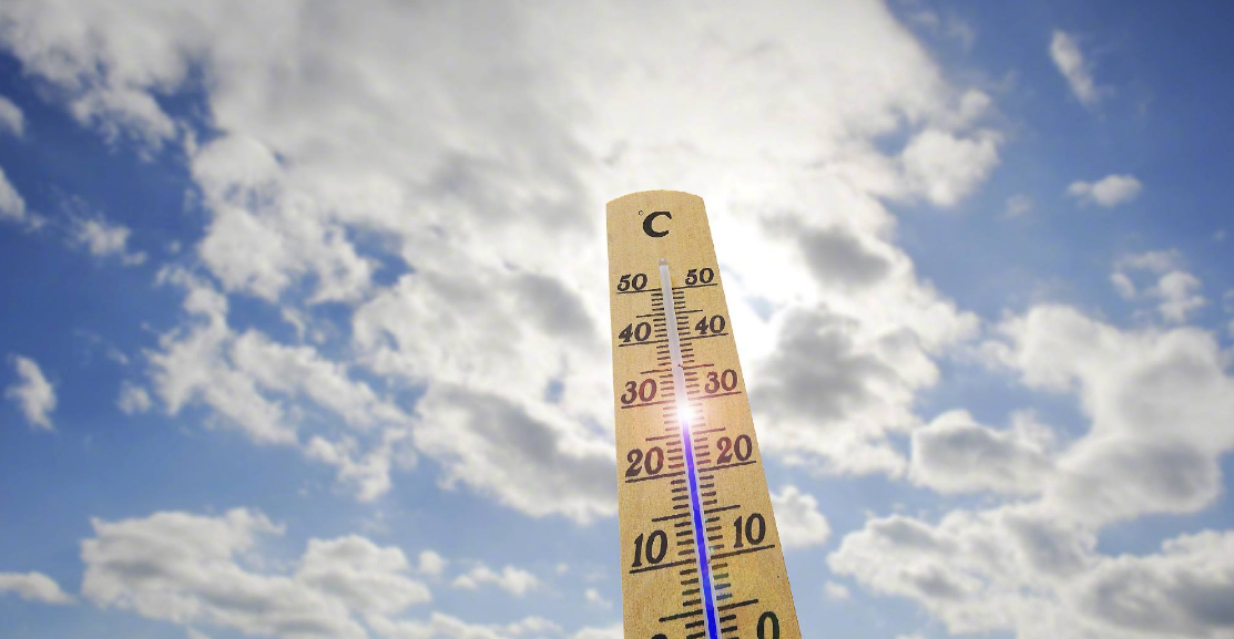 QQ浏览器截图20190815082757